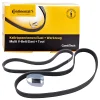 CONTINENTAL CTAM Keilrippenriemensatz 6PK1059ELASTT2