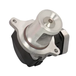 WAHLER AGR-Ventil 7527D -Chemie Geschäft 1376001 31090842 2 jpg