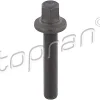 TOPRAN Riemenscheibenschraube 503131