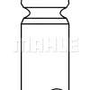 MAHLE Einlassventil 681VE31958000