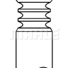 MAHLE Einlassventil 081VE31238000