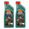 CASTROL 2x 1 L Magnatec Stop-Start 5W-30 C3 15D611