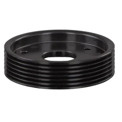 FEBI BILSTEIN Riemenscheibe, Servopumpe 29501 -Chemie Geschäft 3272251