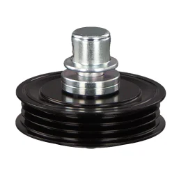 FEBI BILSTEIN Umlenk-/Führungsrolle, Keilrippenriemen 102163 -Chemie Geschäft 3310540