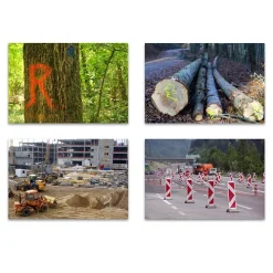 Dupli-Color DUPLI COLOR 3x 500 Ml Markierungsspray - Forst - Baumarkierer - Neongelb 119620 -Chemie Geschäft 3951493