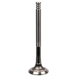 FEBI BILSTEIN Auslaßventil 21010